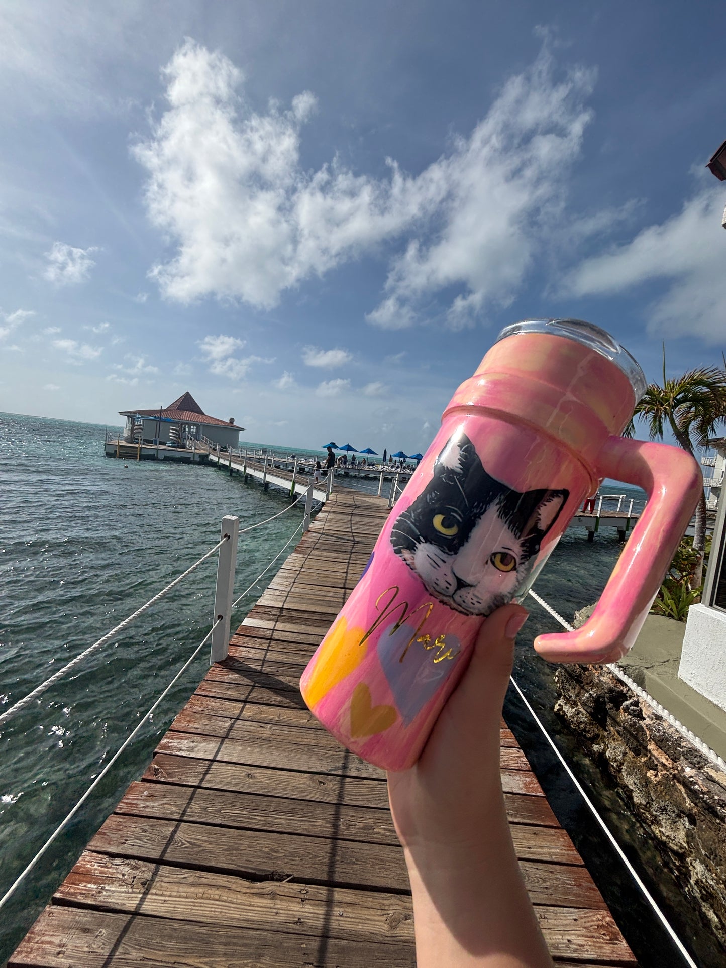 termos pintados a mano