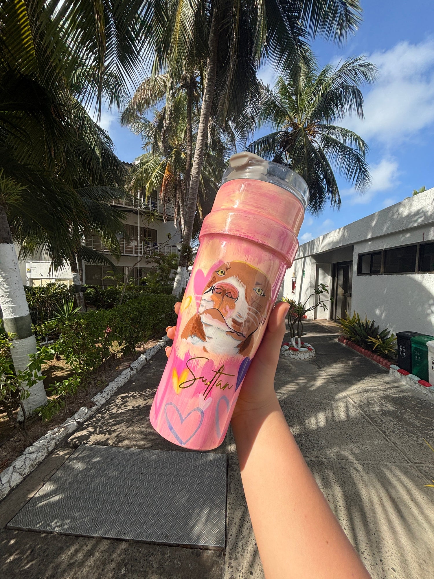 Termos Pintados a Mano